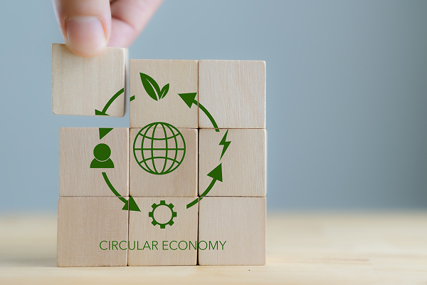 시장환경 규제 대응